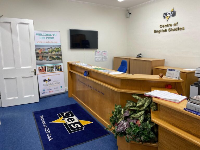 CES Cork Building New painting 2