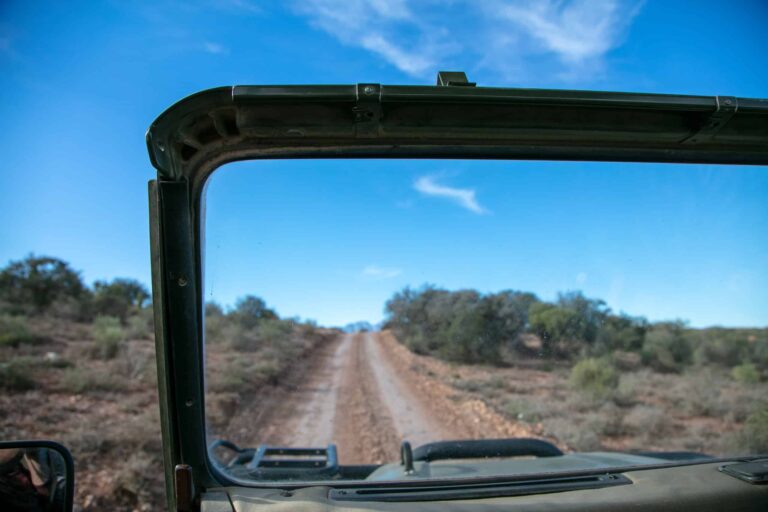 Learn English in South Africa – ESL Cape Town English School